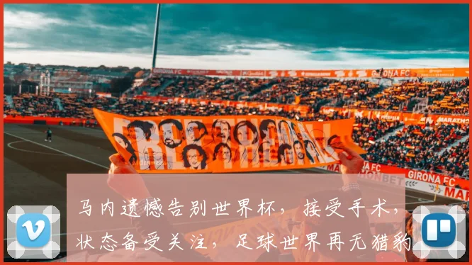 马内遗憾告别世界杯，接受手术，状态备受关注，足球世界再无猎豹
