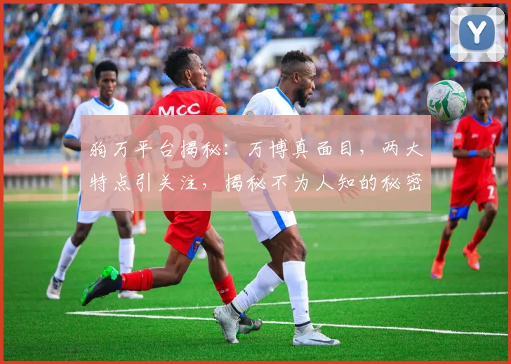 狗万平台揭秘：万博真面目，两大特点引关注，揭秘不为人知的秘密