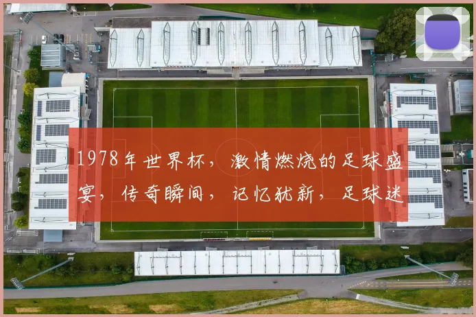 1978年世界杯，激情燃烧的足球盛宴，传奇瞬间，记忆犹新，足球迷的狂欢之夜